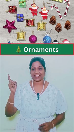 10 Must-Know Christmas Words! 🎄 | How many do you know ?