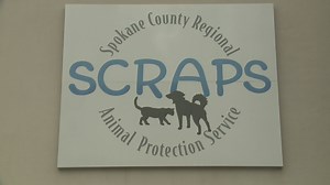 SCRAPS reopening for dog adoptions on Tuesday