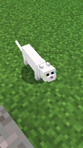 Minecraft , But if I see the green colour...🌳 The video ends...🔥 #minecraft #shorts