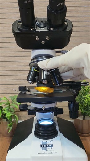 Chips Under Microscope #microscopeview #experiment #microscope #science #trending #viral #shorts