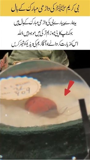 The Holy Beard's hair of Prophet #muhammadﷺ #viral #trending #islam #islamic #shorts #youtubeshorts