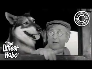 Honor Ranch | The Littlest Hobo (1963) | S1E7 | Remastered