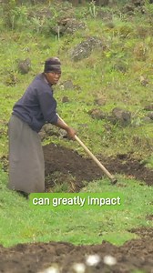 The responsibility of big polluters to pay for the harm and destruction they have caused is escaping the spotlight. We call on you to ensure the new finance goal is a turning point for holding the fossil fuel industry and other big polluters to account – not a get-out-of-jail-free card for those most guilty of climate destruction. Add your voice 👉 | Greenpeace Africa