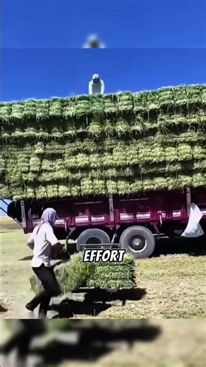 Satisfying Hay Bale Stacking Machine 🔥