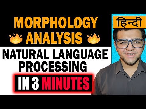 Morphology Analysis 🔥🔥