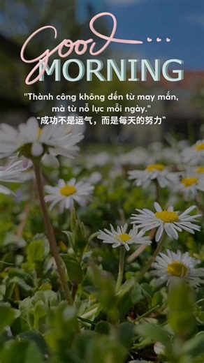 Tuyển dụng MHK2 C&N Vina on Reels
