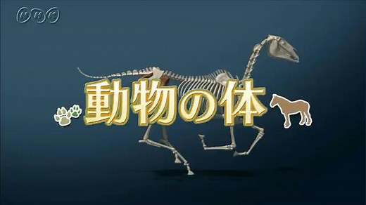動物の体 | ふしぎがいっぱい （4年） | NHK for School