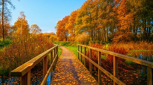 Virtual Castle Tour Netherlands – Explore Kasteel Geldrop (4K)