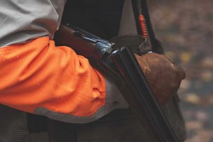 How can killing birds in spring during breeding season be sustainable? – BirdLife - The Malta Independent