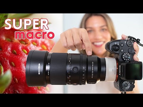 SUPER MACRO! Sony's NEW 100mm f/2.8 MACRO has it all!