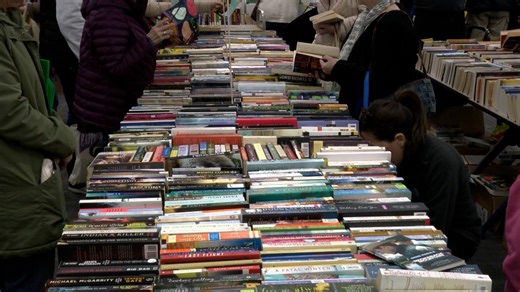 Beloved Book Lover’s Sale returns to Blasco Library
