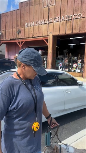 Training With Shy on Instagram: "🐕👗🎃🪵🐓 Bentley’s Day Out ☀️ Bentley has been with me for over two weeks now, working on basic obedience training & socialization while using an e-collar! Today we took him out to several different places: @Homedepot, @Sandimasgrain, @anicheboutique, and more! He is such a sweet boy, but tends to seek affection from strangers which can lead to him jumping. As you can imagine, a 120+ pound dog (& still growing) jumping on you might not be the best feeling. But 