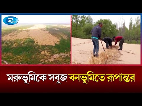 মরুভূমি হওয়ার হাত থেকে বিরাট অঞ্চলকে রক্ষা করলো চীন! | Desert | Green forest | China | Rtv News
