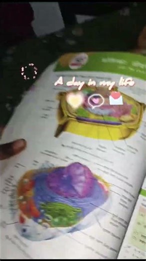 Aaj ka simple day # mini vlog # a day in my life #viral #dailyvlog