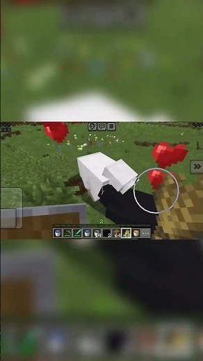 How to breed sheep in Minecraft 🐑🤔