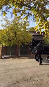 169 reactions · 5 comments | Repost  @visitcalifornia We’ve...