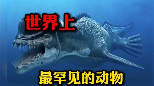 世界上“最稀有”的10大生物，第一名的稀有程度比大熊猫还要珍贵！