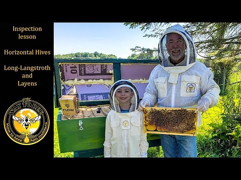 Layens and Long Langstroth Hives, Teaching My Grandson how to inspect a bee hive. Tutorial