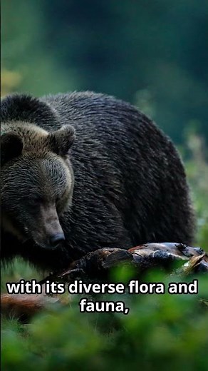 Camping Sites in Slovakia! #adventure #slovakia #camping