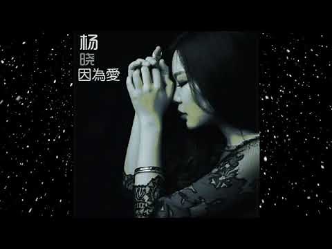 楊曉-夜空中最亮的星