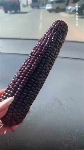 Best ASMR Food Sounds for Food Lovers