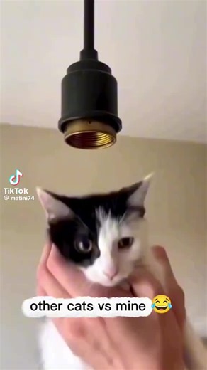 Bless man (@blesman4u)’s videos with original sound - Bless man