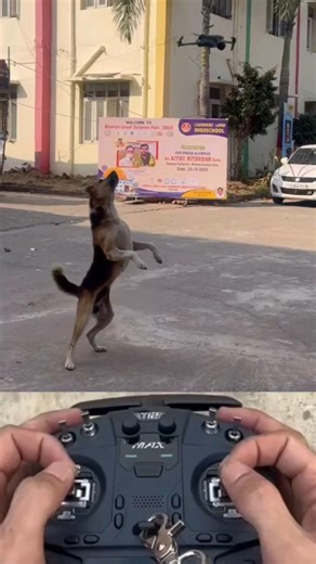 Drone Prank In Village Funny 🤣 || Drone Prank Gone Wrong 🤣 || #shorts #drone #prank #funny