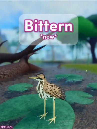 Bittern * Heron * new * 🐦🐣 in Feather Family