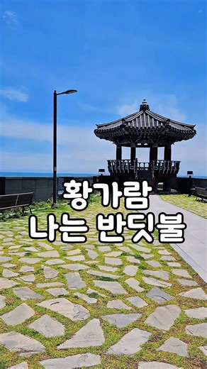 황가람 '나는 반딧불' #황가람 #나는반딧불 #노래 #가사 #위로 #추천 #쇼츠 #2026