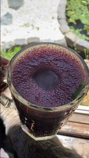 Recetas Crudas licuado de arándanos y frutillas Luciano Bonfico