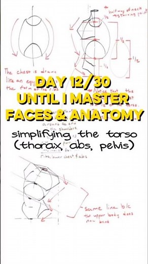 Day 12/30 until I Master Drawing Faces & Anatomy (simplifying the torso)
