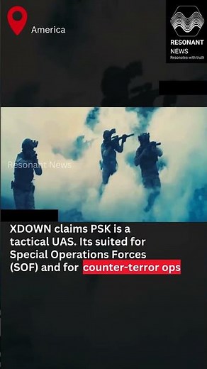 Grab and Throw-- PS (Killer) Kamikaze Drone