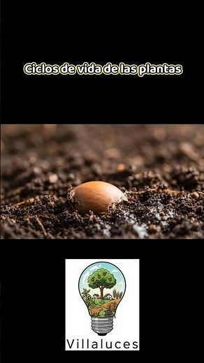 Ciclos de vida de las plantas