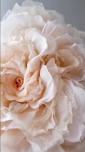 NEW Razzle Dazzle Rose Demonstration. Book your spot using a link in the description #rose #flowers