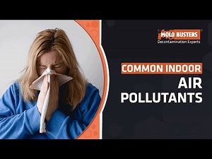 What are Common Indoor Air Pollutants - Mold Busters