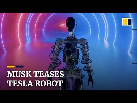 ‘Optimus chain’: Chinese suppliers form the backbone of Tesla’s humanoid robot initiative