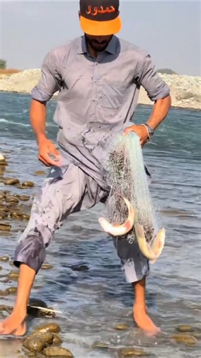 Peaceful Cast Net Fishing | Big Fish Catch with Natural River Sound#castnet #fishing #riverfishing