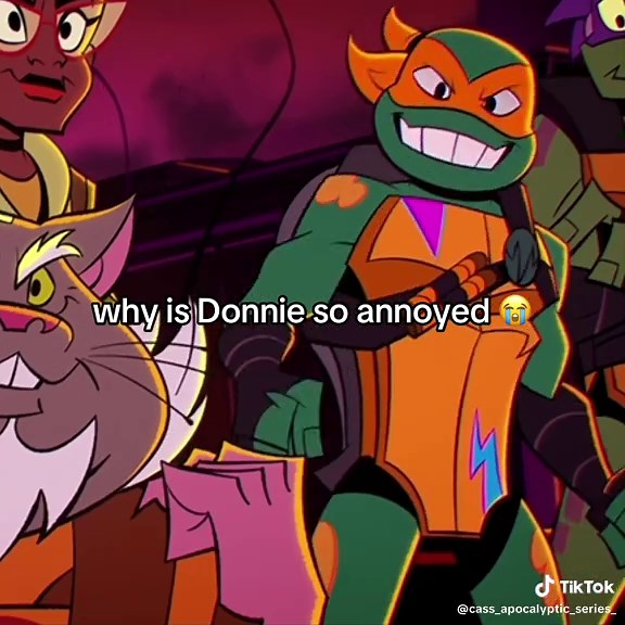 Understanding Donnie's Frustration in ROTTMNT