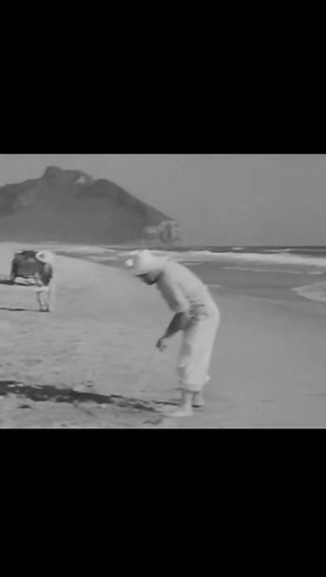 2.6K views · 25 reactions | The case of murdered international fashion models | Cult Cinema Classics | Facebook