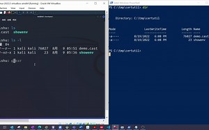 分别在linux和windows里面得出文件的校验和