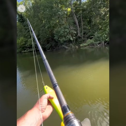 This bait is as big as a fish😃😃😃 | CarpStore