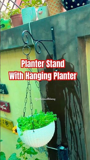 Wall Stand & Hanging Planter Decor Idea 🪴 | Small Space Garden Makeover