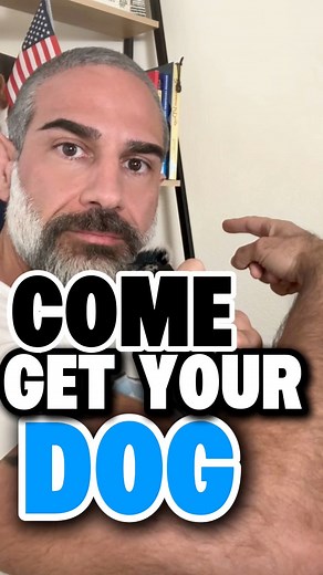 165K views · 3K reactions | No one wants to intentionally hurt a dog....