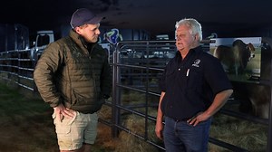 Kule ngxoxo u-Mark usinikeze i-feedabco yakhe ngeNdali yase-Boran ekulimeni kwe-Hurwitz. #Boran #boranbulls #borancattle | FarmTalk