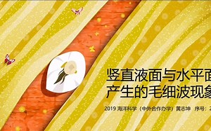 【流体力学试验】竖直液面与水平面产生的毛细波现象