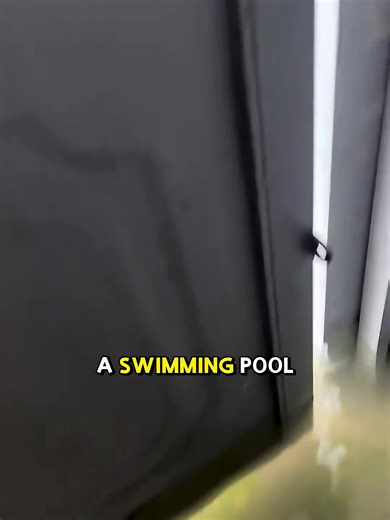 Just saw a cute little frog chasing a fish! 🐸🐟 #NatureMoments | Curious Creatures