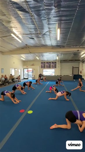 🌟 Unleash Your Potential at Next Level Gymnastics! 🌟 Join us for expert coaching and a vibrant community. Whether you’re starting out or perfecting your skills, we’re here to support you every step of the way! 🤸‍♀️ #NextLevelGymnastics #GymnasticsPassion #AchieveGreatness