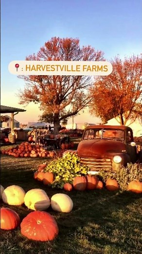 Pumpkin Patches for Fall Fun