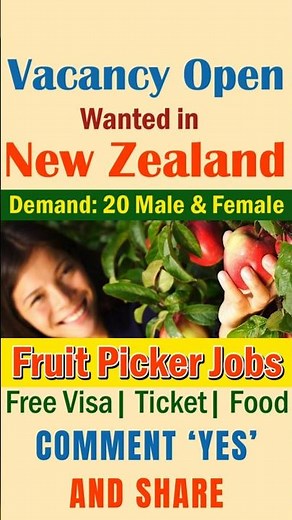 New Zealand Jobs New Zealand Jobs 2025 Fruit Picker Jobs Abroad Free Visa, Ticket & Food #abroad