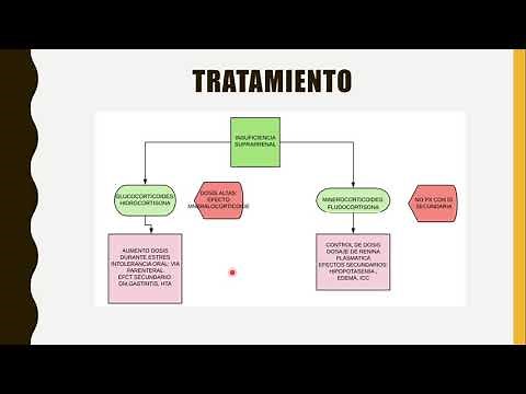 INSUFICIENCIA SUPRARRENAL (Enfermedad de ADDISON) CLASIFICACIÓN, DIAGNÓSTICO Y TRATAMIENTO